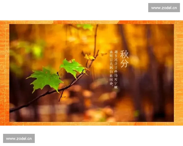 秋分时节自然变迁与人文活动的和谐交织探究